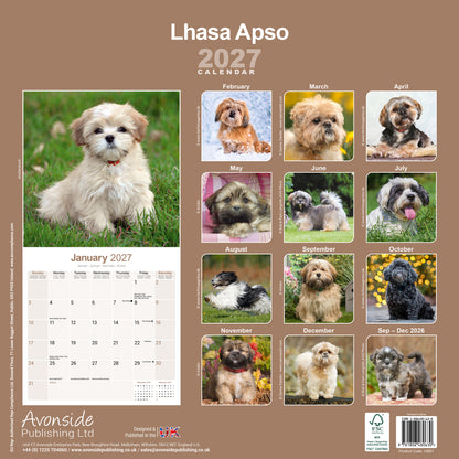 Lhasa Apso wall calendar 2027