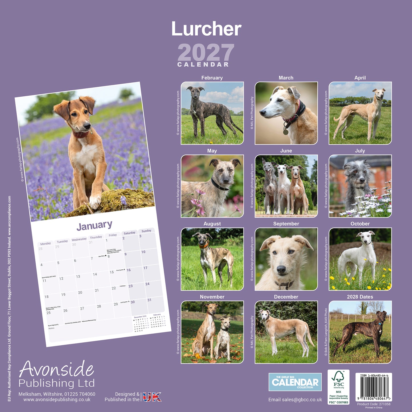 Lurcher wall calendar 2027