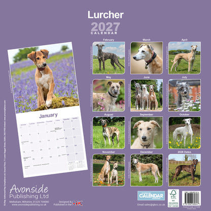 Lurcher wall calendar 2027