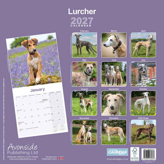 Lurcher wall calendar 2027