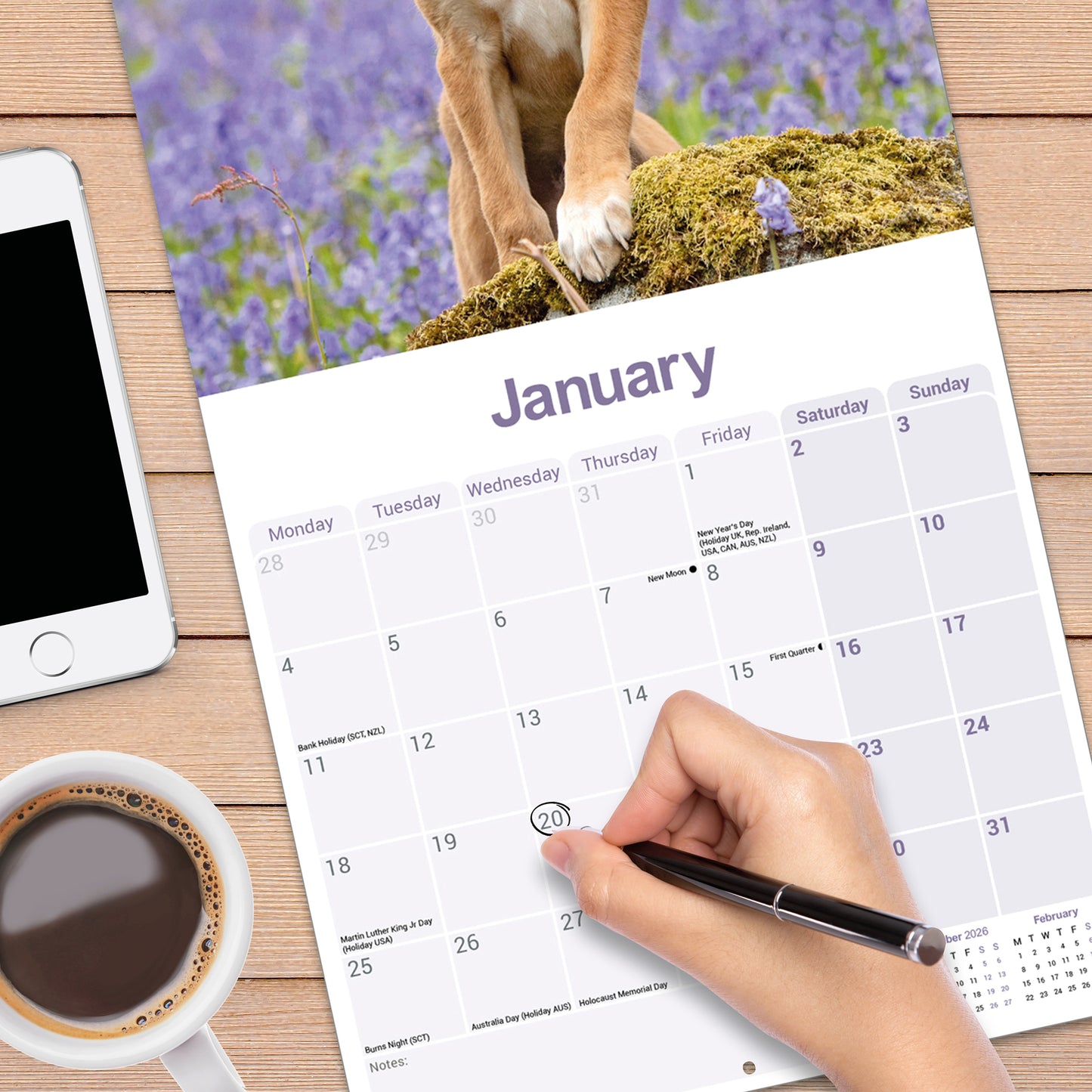 Lurcher wall calendar 2027