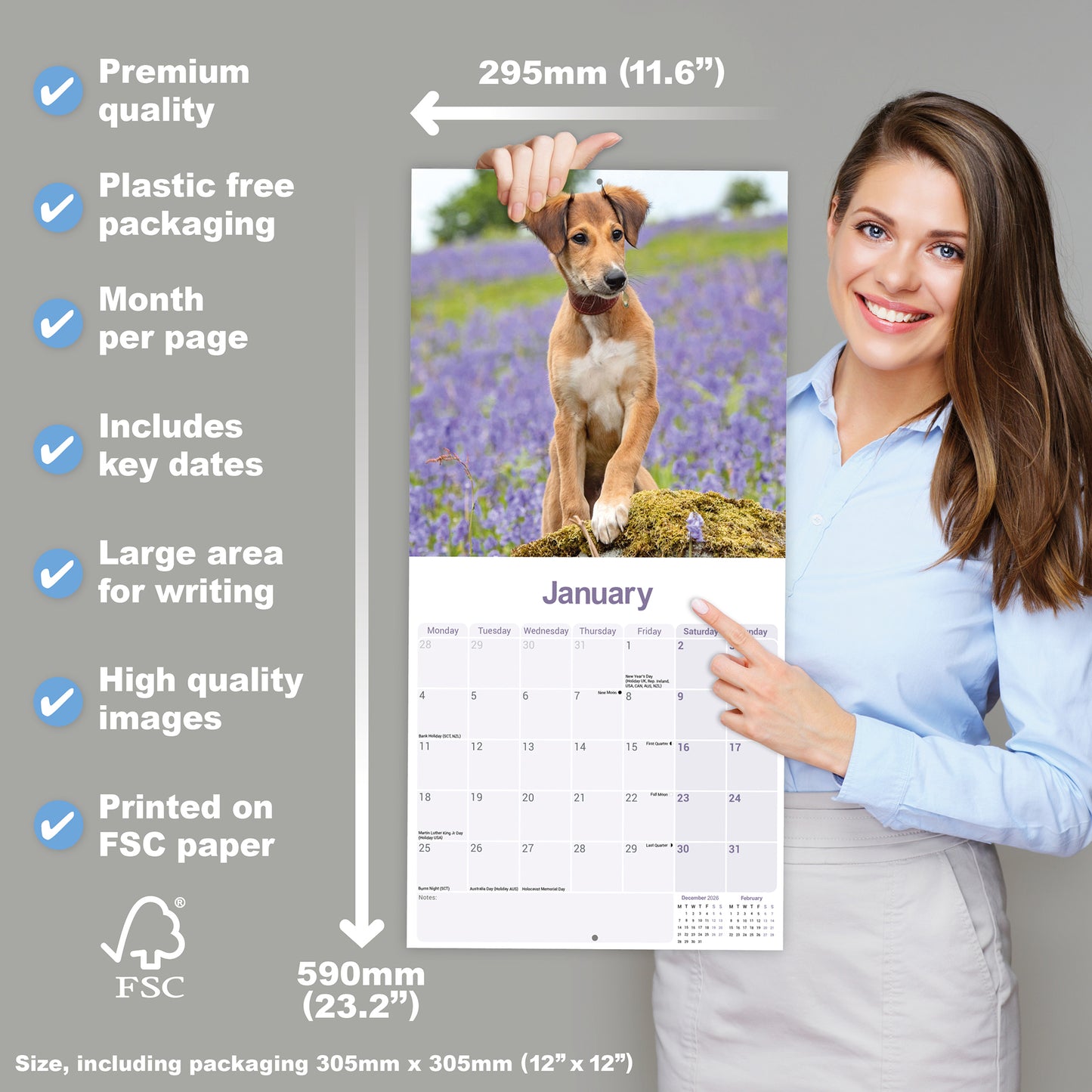 Lurcher wall calendar 2027