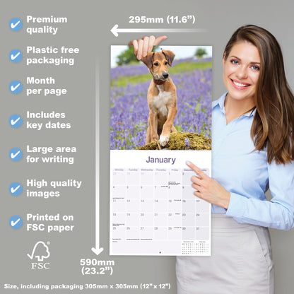 Lurcher wall calendar 2027