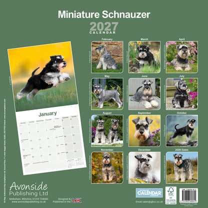 Miniature Schnauzer wall calendar 2027