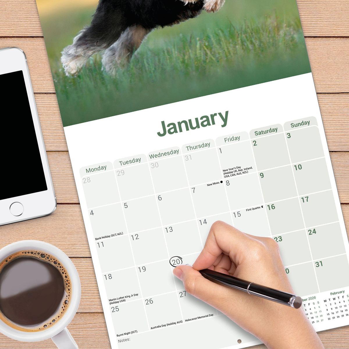 Miniature Schnauzer wall calendar 2027