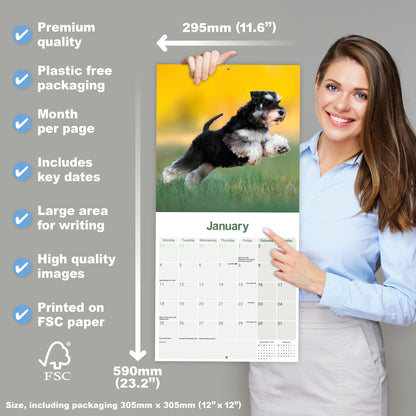 Miniature Schnauzer wall calendar 2027
