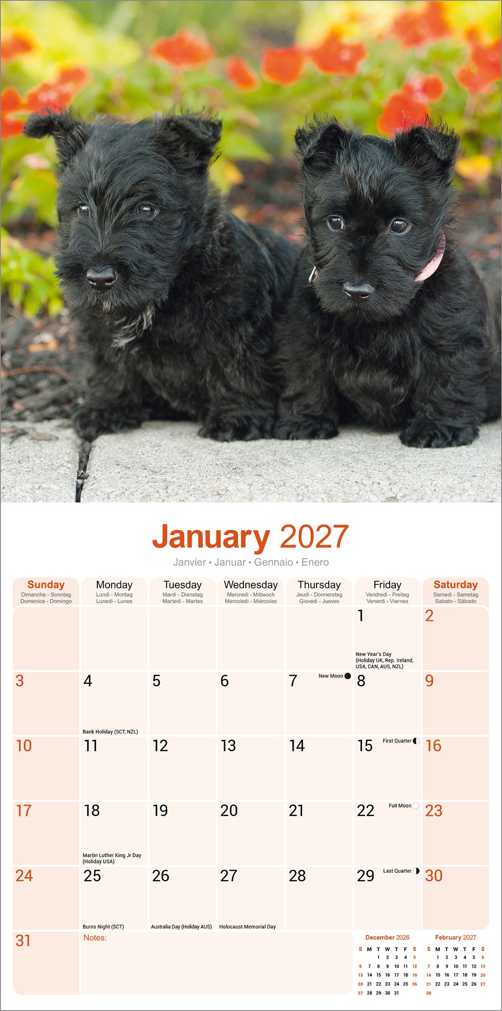Scottish Terrier wall calendar 2027