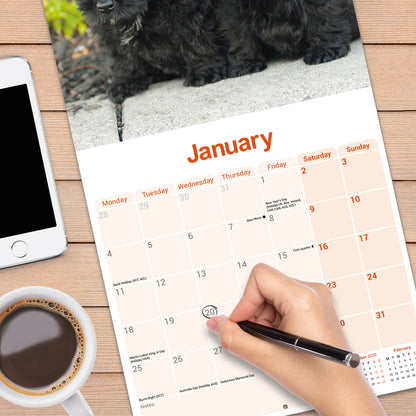 Scottish Terrier wall calendar 2027