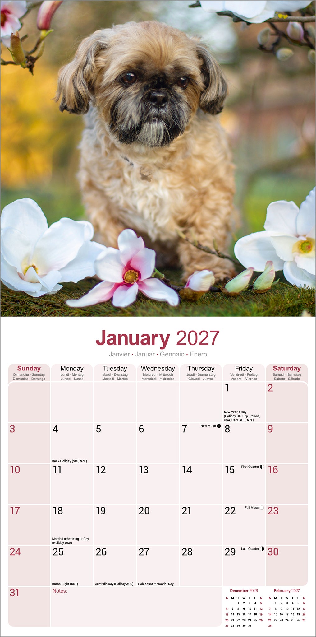 Shih Tzu wall calendar 2027