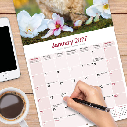 Shih Tzu wall calendar 2027