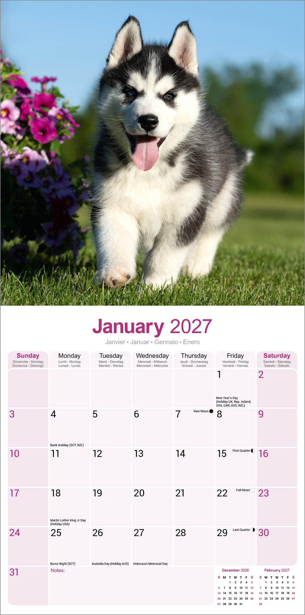 Siberian Husky wall calendar 2027