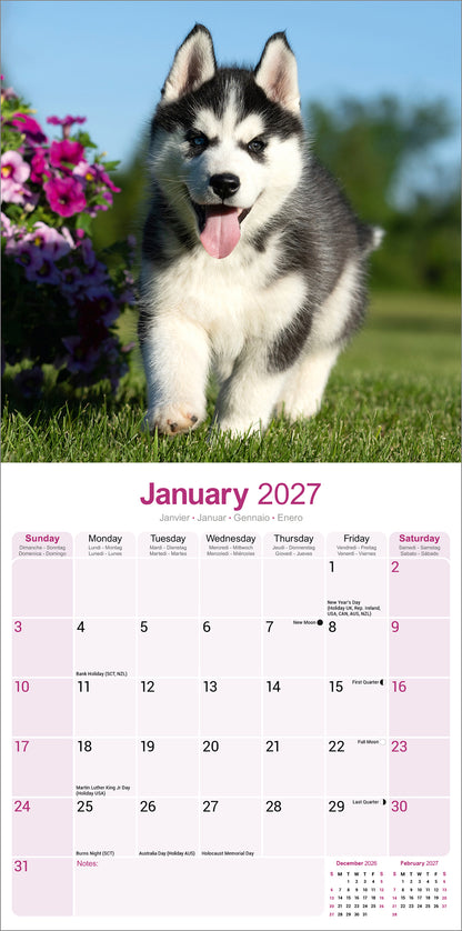 Siberian Husky wall calendar 2027