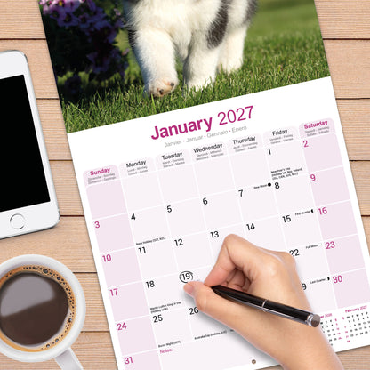 Siberian Husky wall calendar 2027