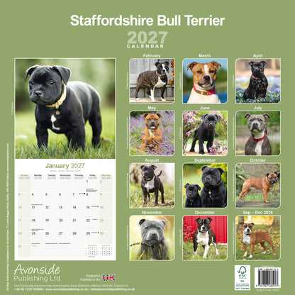 Staffordshire Bull Terrier wall calendar 2027