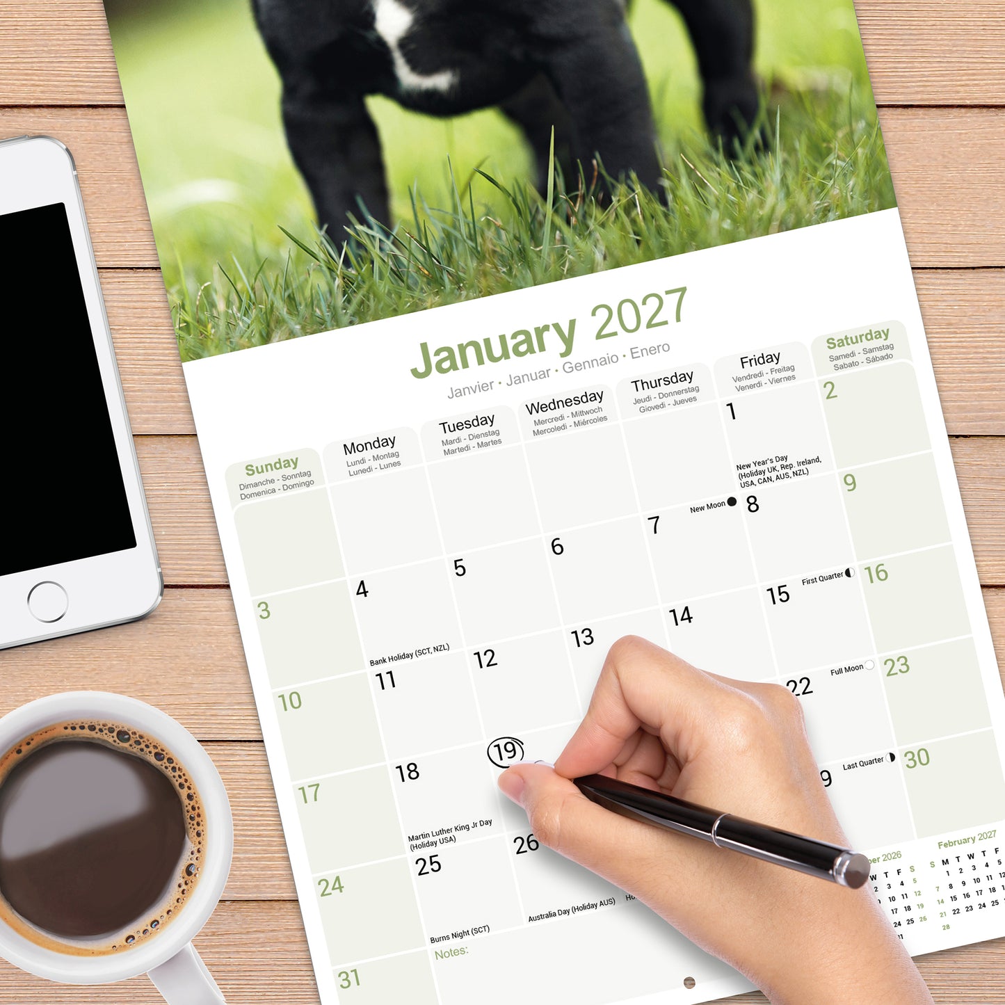 Staffordshire Bull Terrier wall calendar 2027