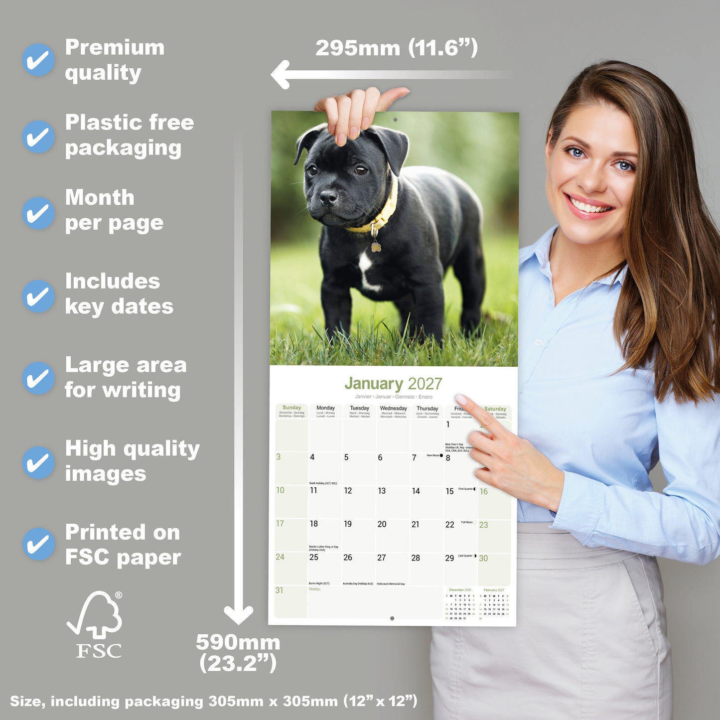 Staffordshire Bull Terrier wall calendar 2027