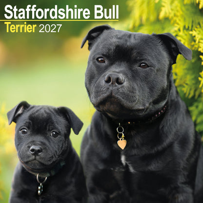 Staffordshire Bull Terrier wall calendar 2027