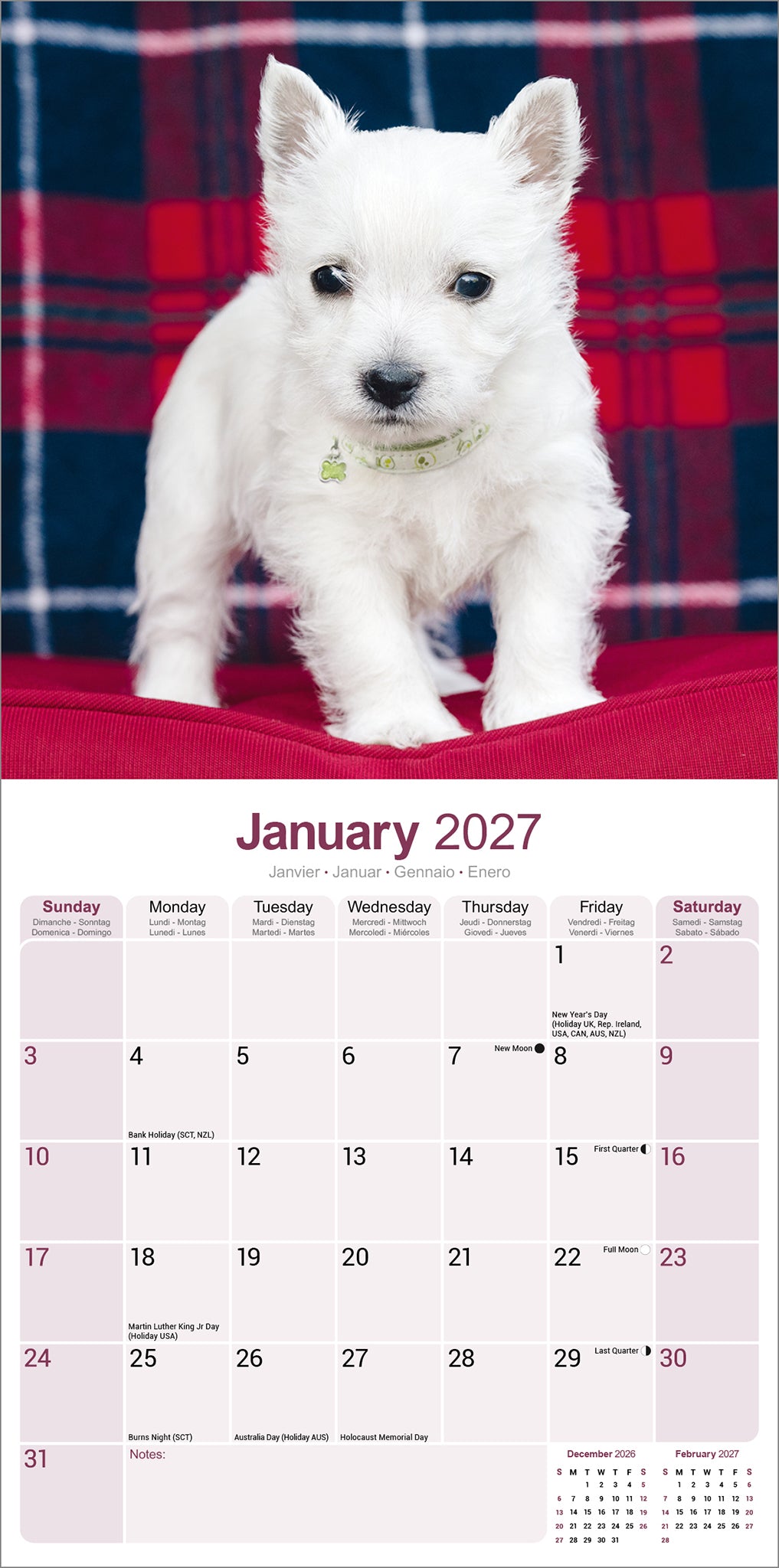 West Highland White Terrier wall calendar 2027