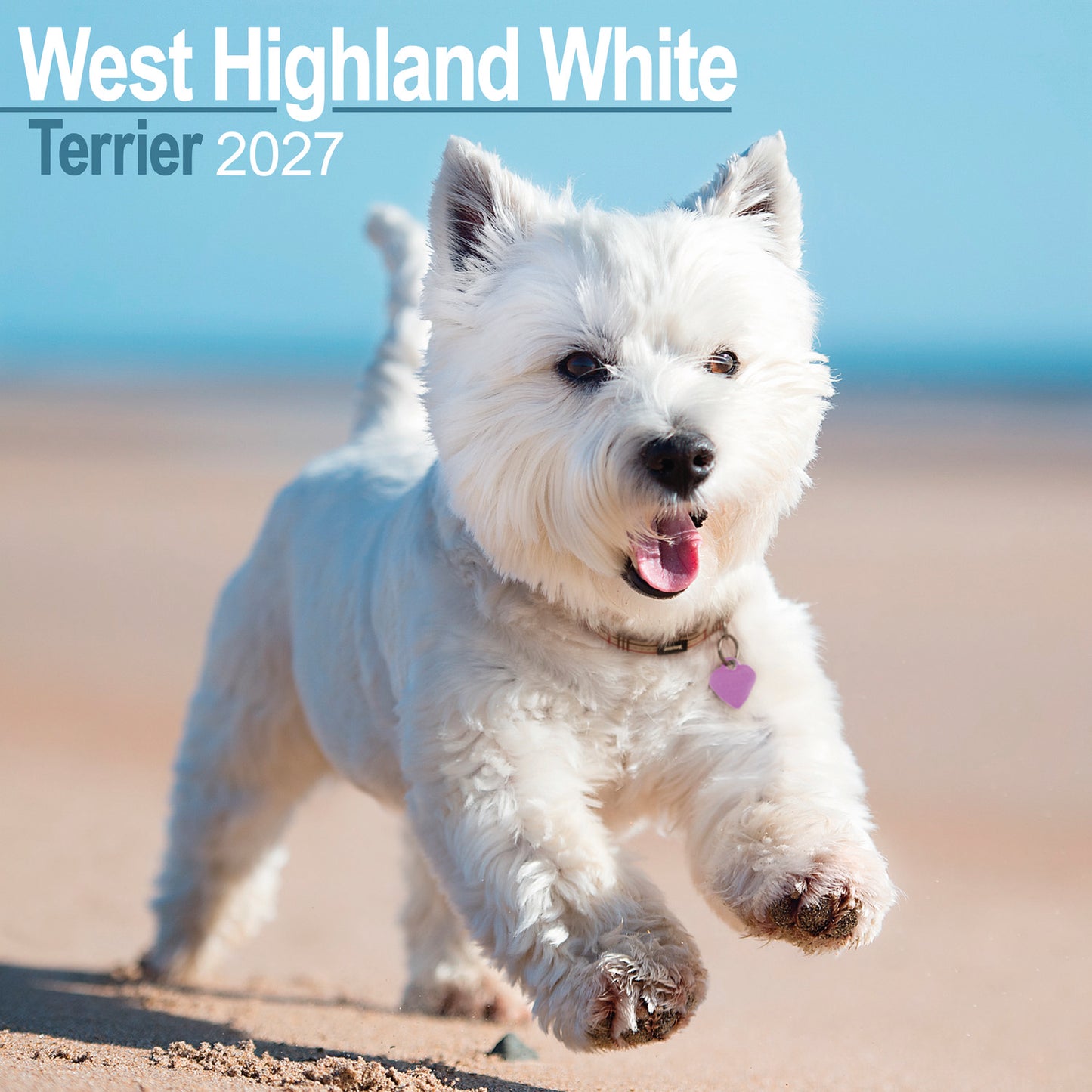 West Highland White Terrier wall calendar 2027