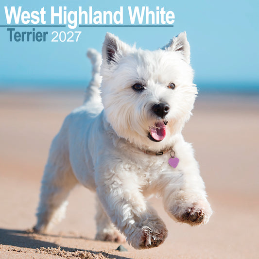 West Highland White Terrier wall calendar 2027