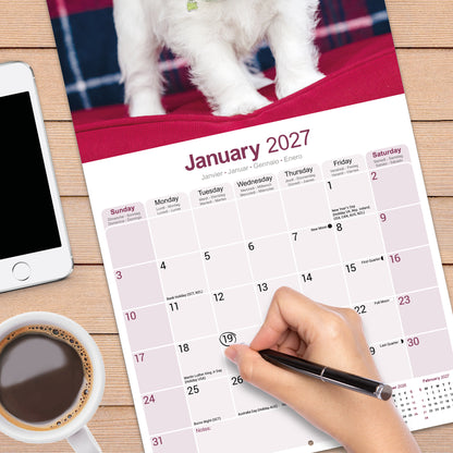 West Highland White Terrier wall calendar 2027