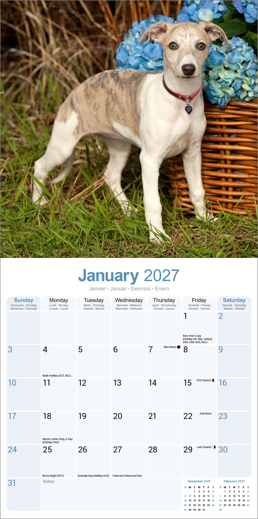 Whippet wall calendar 2027