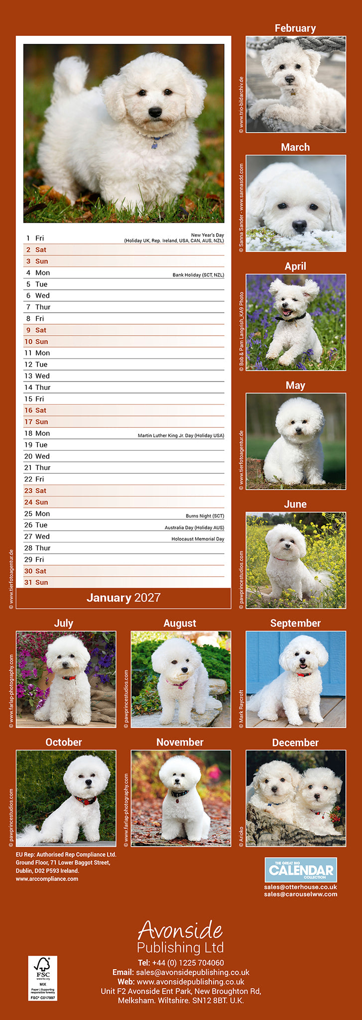 Bichon Frisé slim calendar 2027
