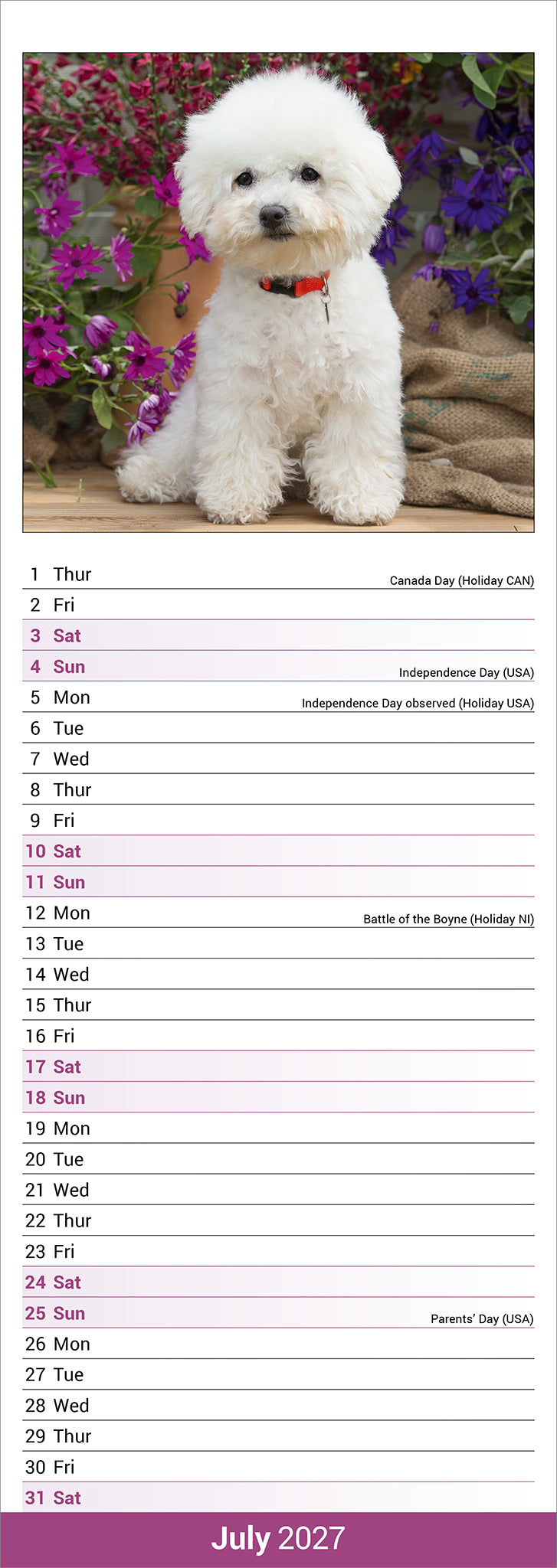 Bichon Frisé slim calendar 2027