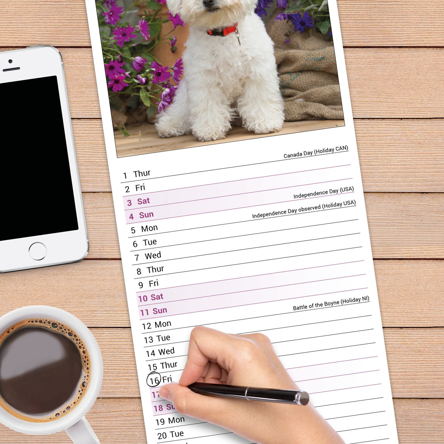 Bichon Frisé slim calendar 2027