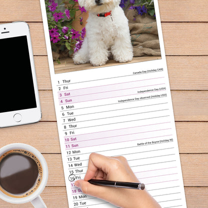 Bichon Frisé slim calendar 2027