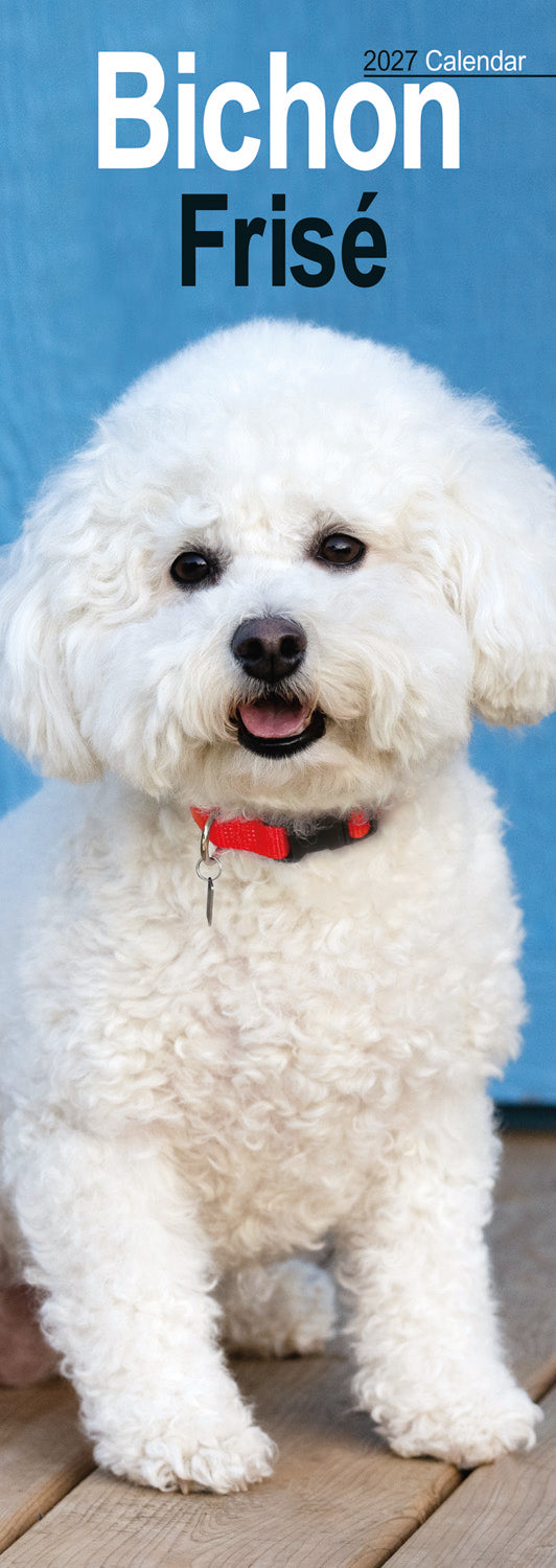 Bichon Frisé slim calendar 2027