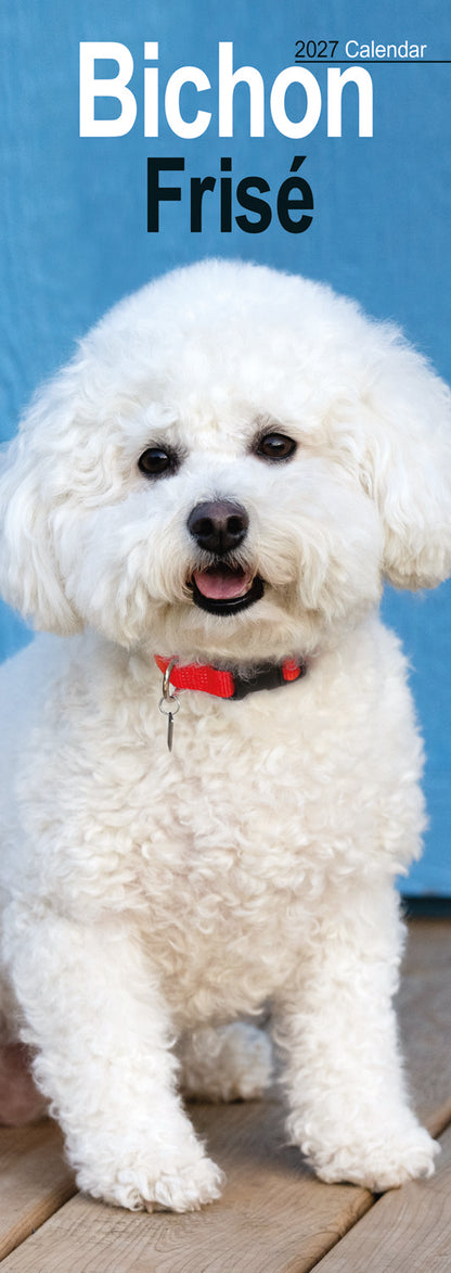 Bichon Frisé slim calendar 2027
