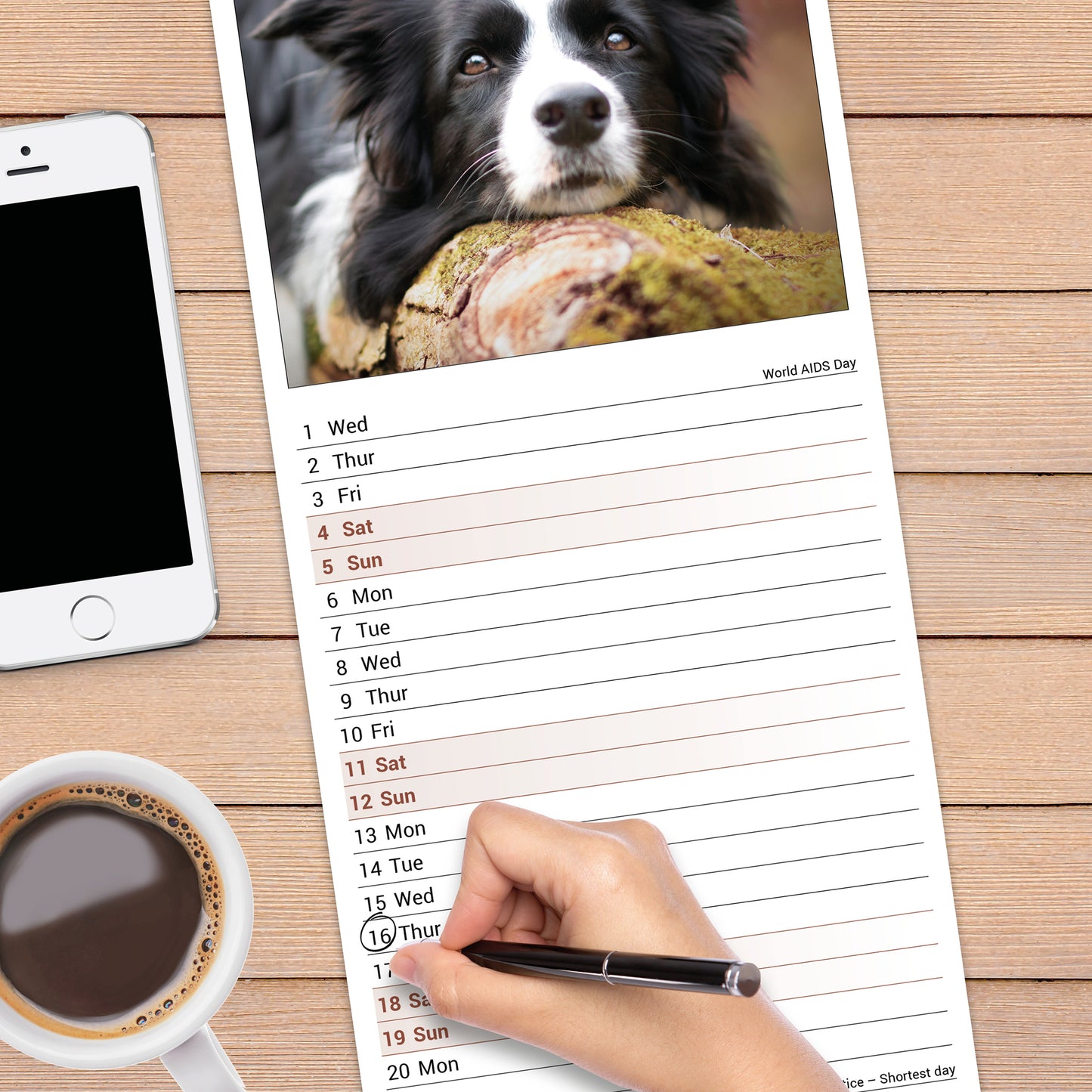 Border Collie slim calendar 2027