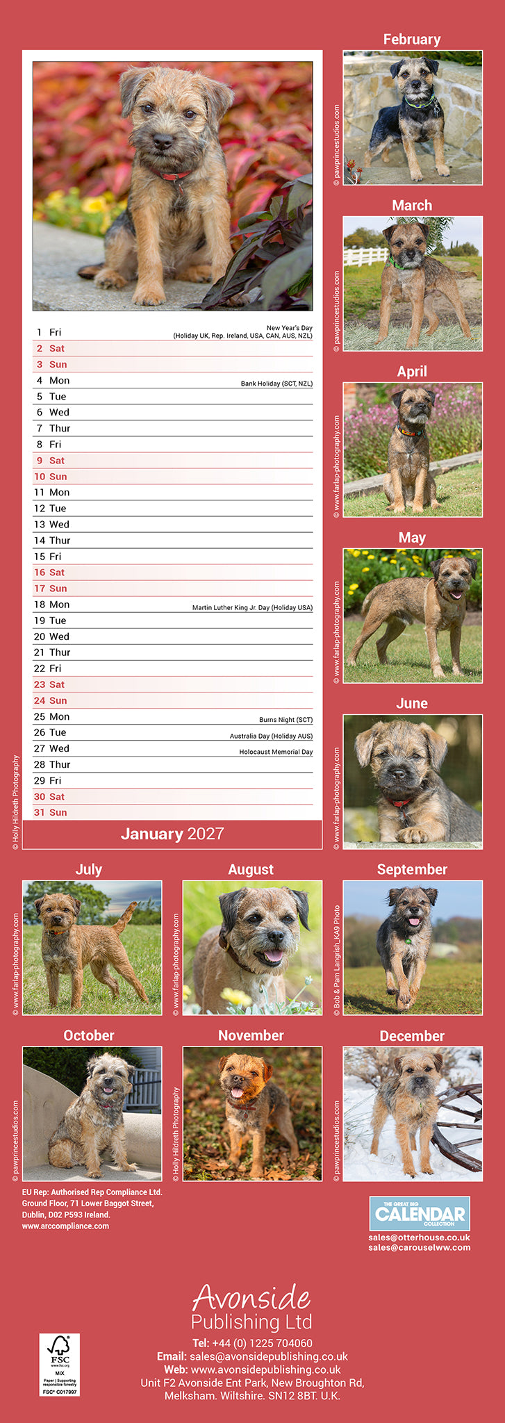 Border Terrier slim calendar 2027