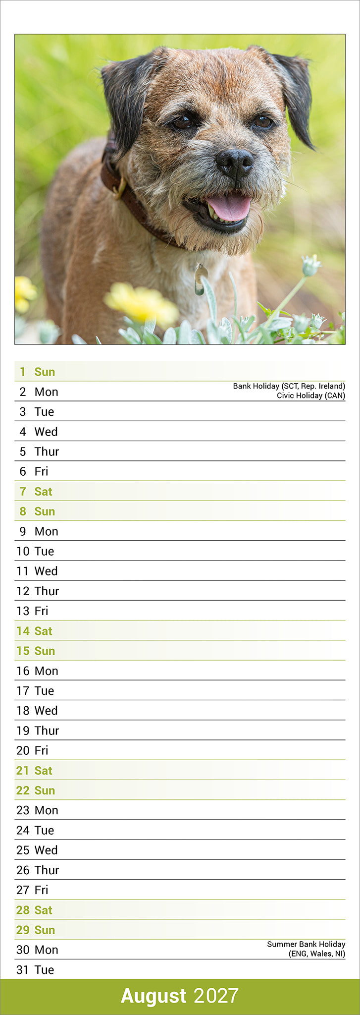 Border Terrier slim calendar 2027