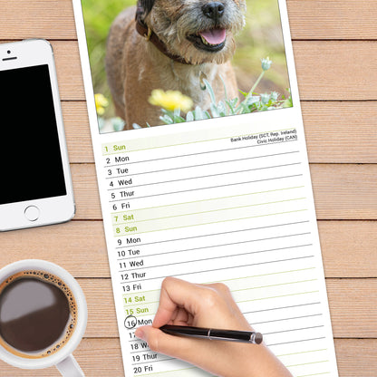 Border Terrier slim calendar 2027