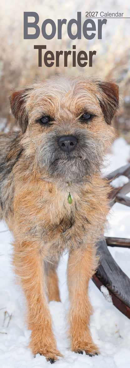 Border Terrier slim calendar 2027