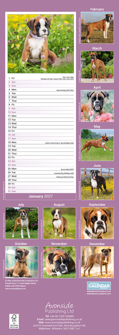 Boxer slim calendar 2027