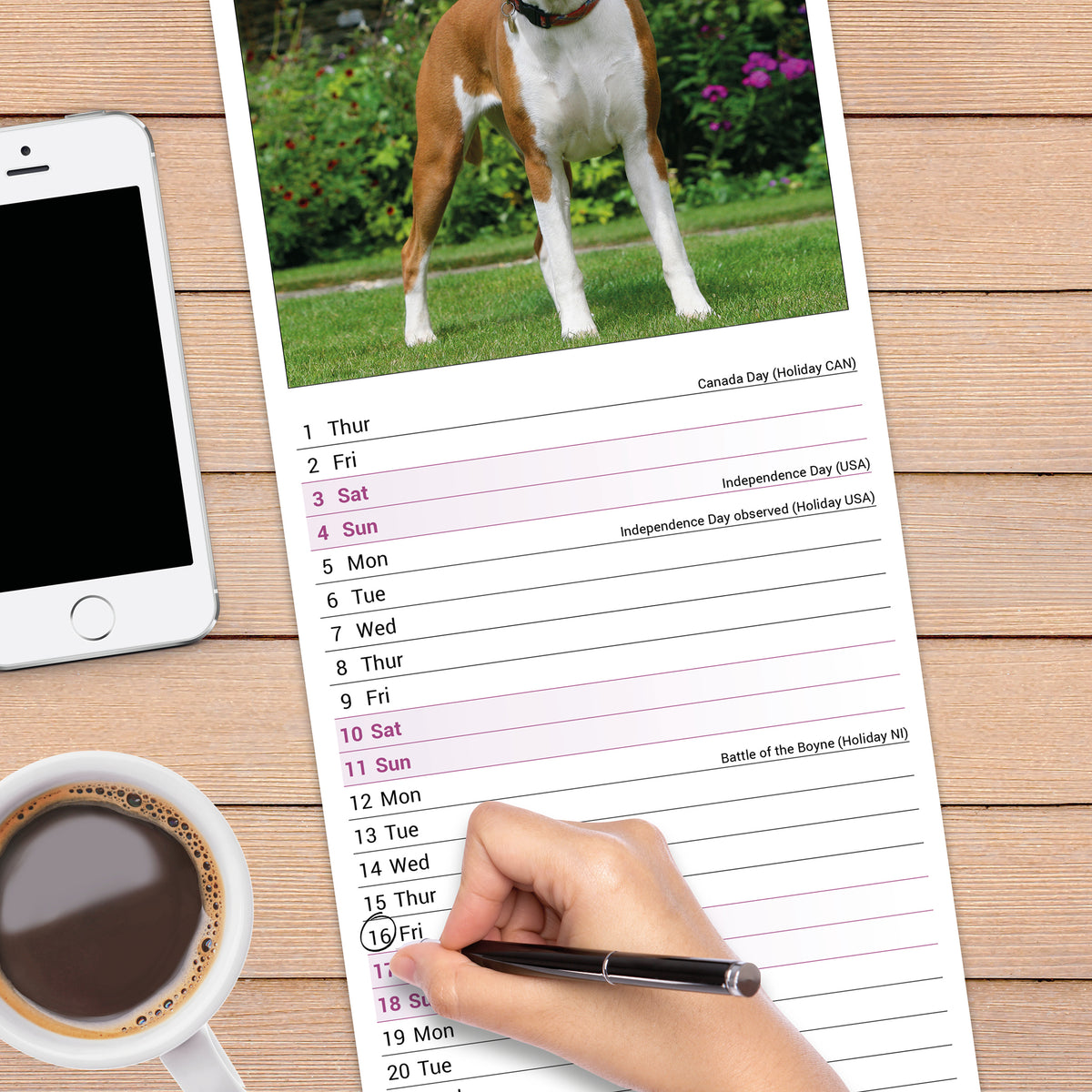 Boxer slim calendar 2027