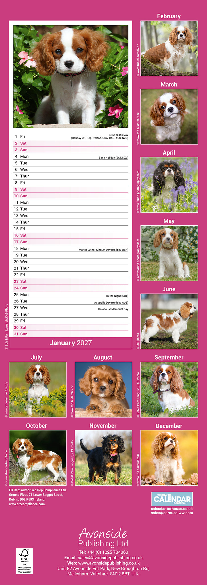 Cavalier King Charles Spaniel slim calendar 2027