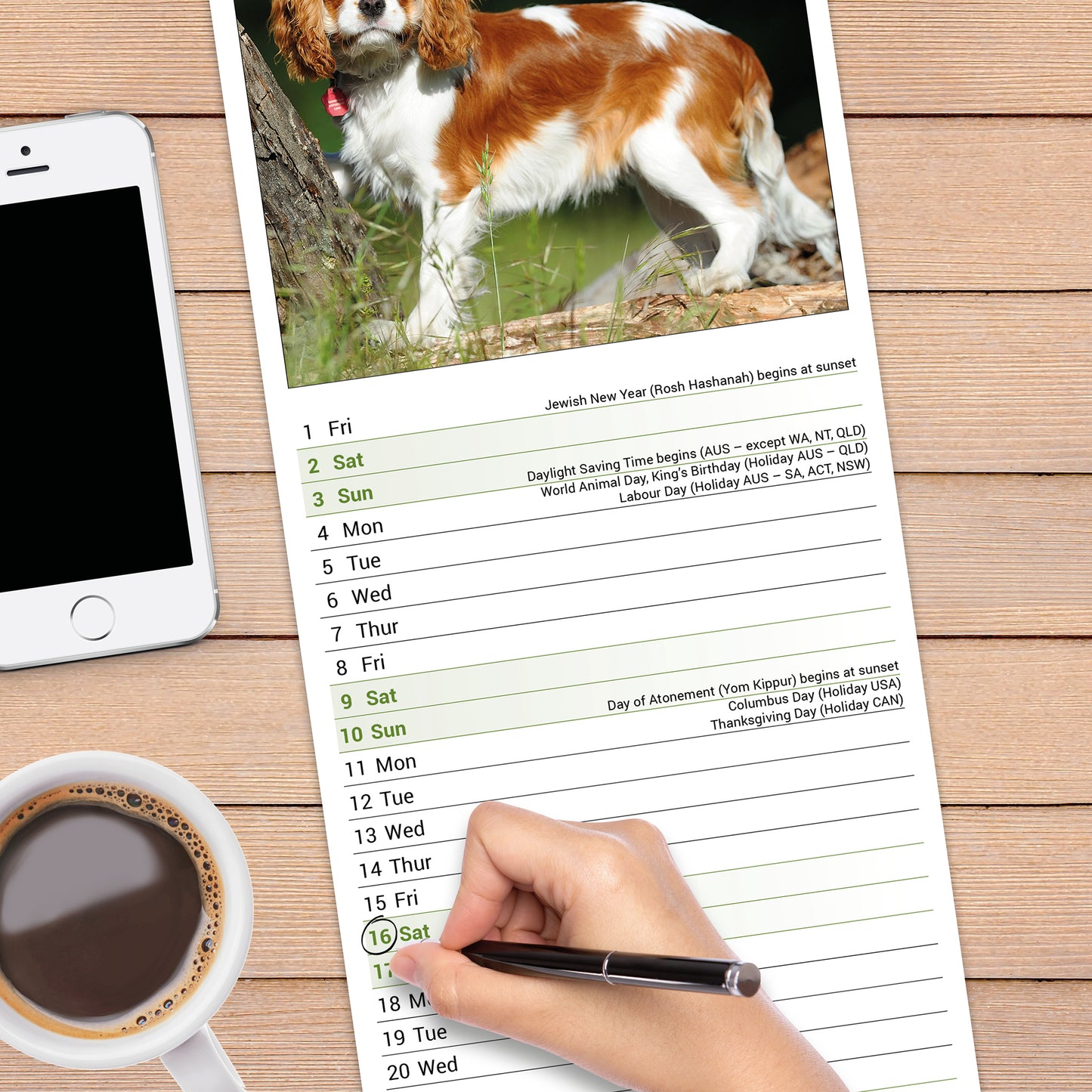 Cavalier King Charles Spaniel slim calendar 2027