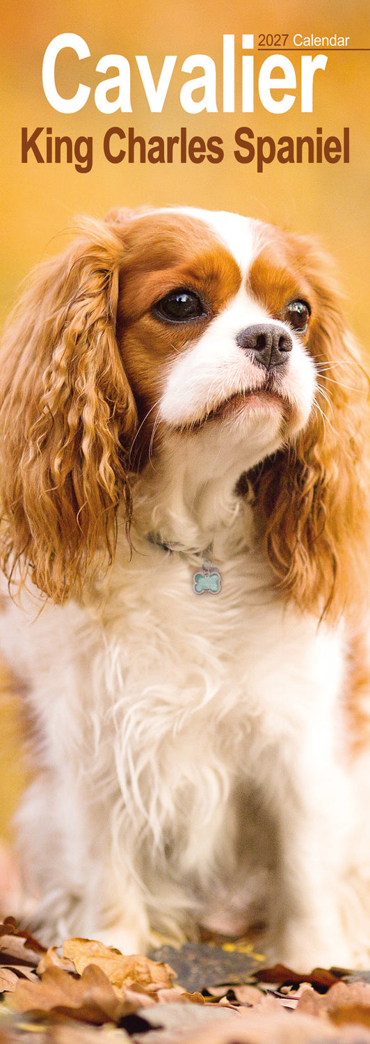 Cavalier King Charles Spaniel slim calendar 2027