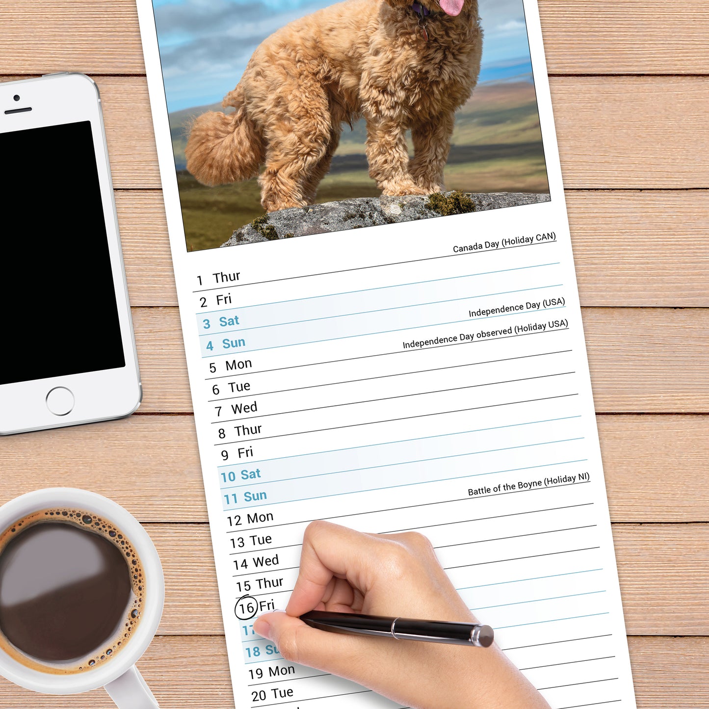 Cockapoo slim calendar 2027