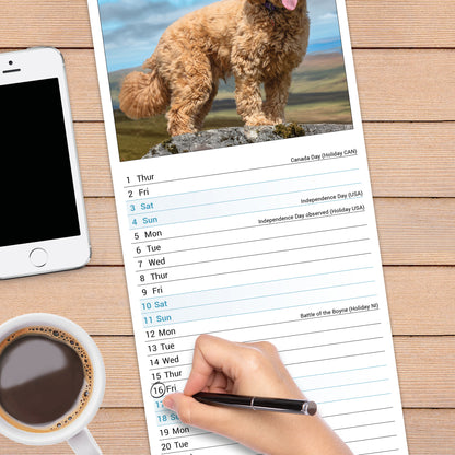 Cockapoo slim calendar 2027