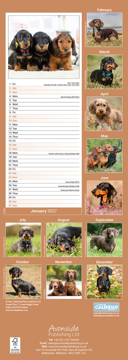 Dachshund slim calendar 2027