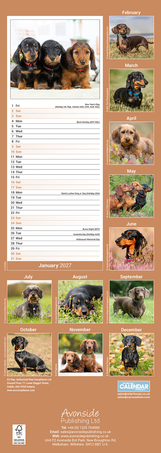 Dachshund slim calendar 2027