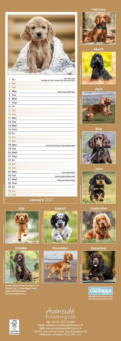 English Cocker Spaniel slim calendar 2027