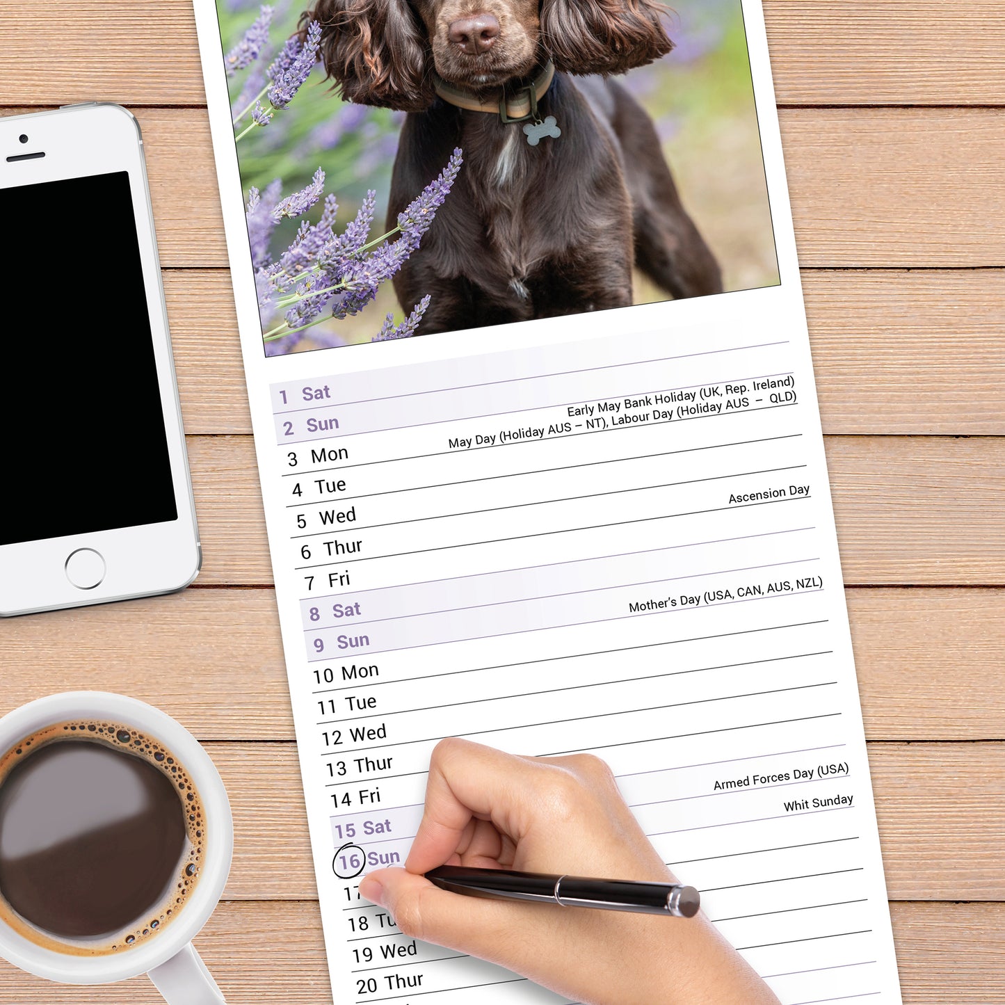 English Cocker Spaniel slim calendar 2027