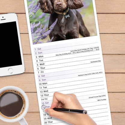 English Cocker Spaniel slim calendar 2027