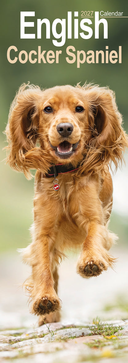 English Cocker Spaniel slim calendar 2027